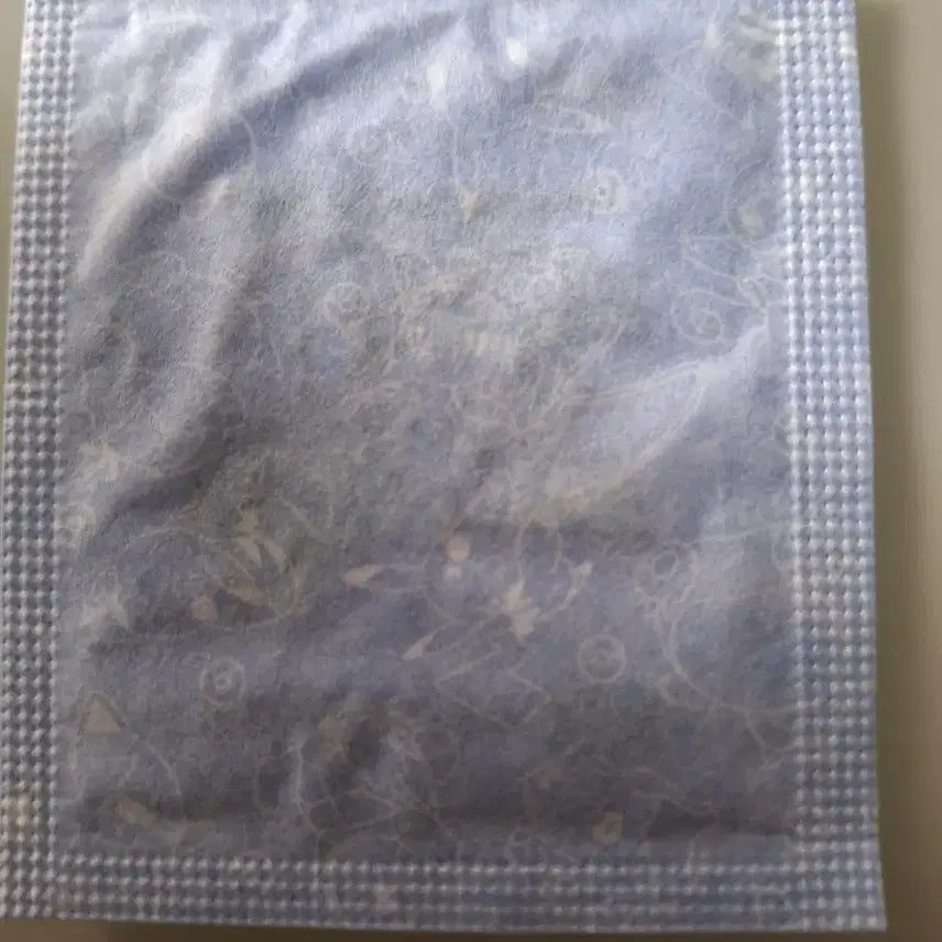[BUNJANG] Terapagos Sealed Sticker / 테라파고스 미개봉 띠부씰