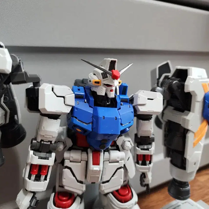 [BUNJANG] Solomon Model GP02 Physalis  / 솔로몬모형 사이살리스 gp02 가조