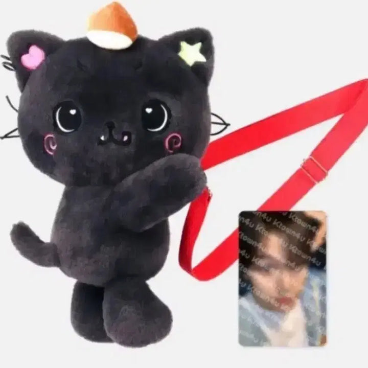 [BUNJANG] NCT WISH Riku Lightstick Pouch (Sealed) / 미개봉) 엔시티 위시 리쿠 로그인 쿠리 응원봉 가방