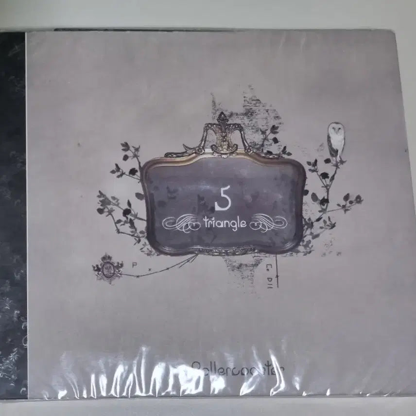 [BUNJANG] Rollercoaster 5th Album Triangle (Sealed CD) / 롤러코스터 5집 Triangle (미개봉 CD)