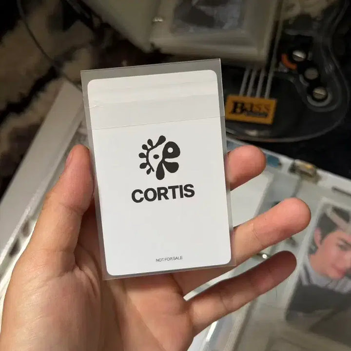 [BUNJANG] Cortis James Global Lucky Draw Photocard / CORTIS JAMES 글로벌 추첨 포카 판매