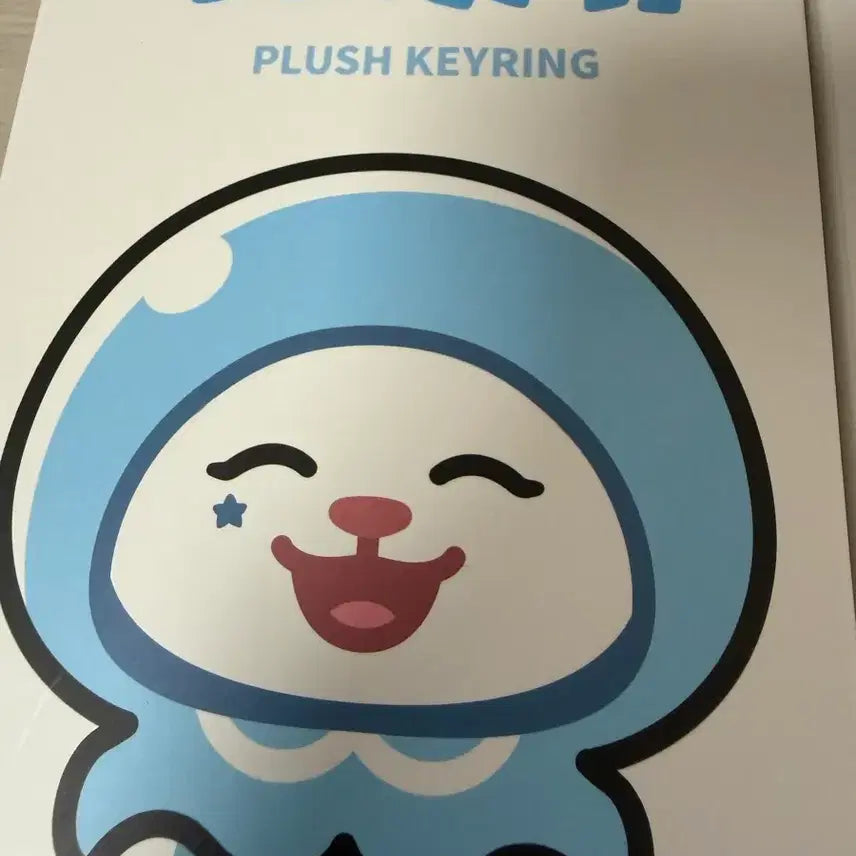 [SOLD OUT] 투어스 인형키링 햇피