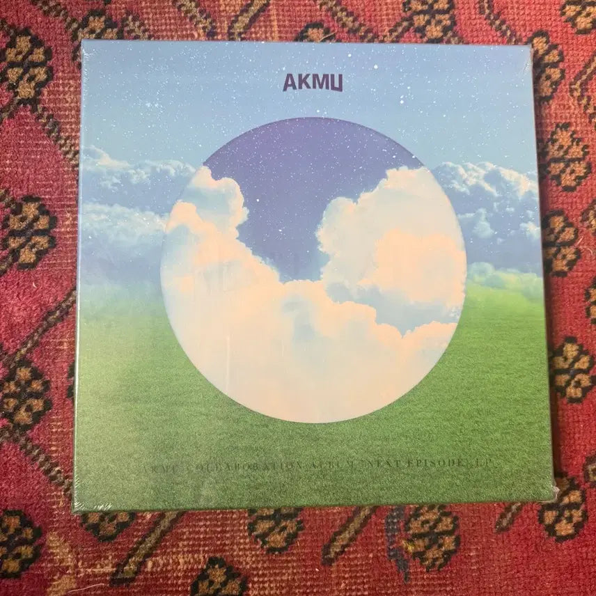 [BUNJANG] AKMU Nakka LP / 악뮤 낙화 lp