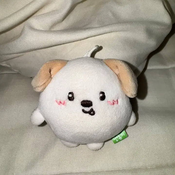 [BUNJANG] Mungryong Plush Keychain / 멍룡이 팝니다 (급처 오늘만 이 가격!