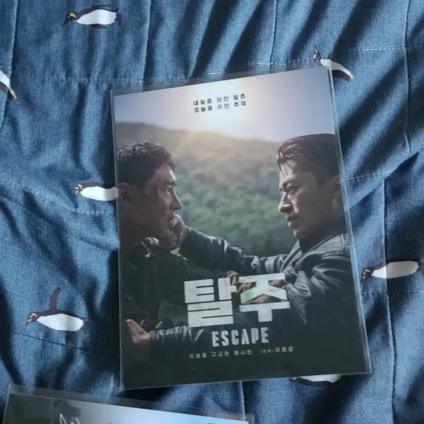 [BUNJANG] Escape Art Card / 탈주 아트카드