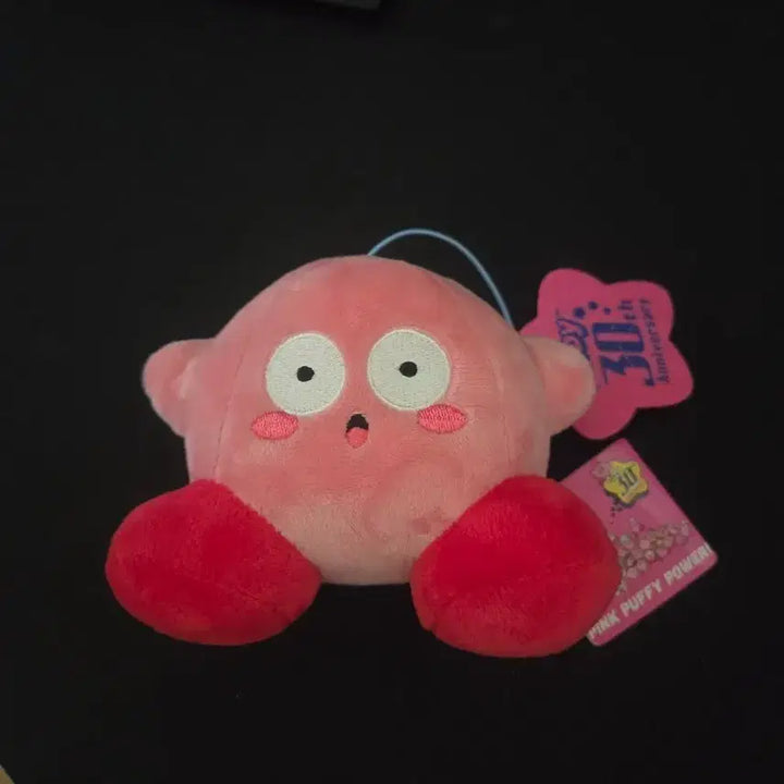 [BUNJANG] Kirby 30th Anniversary Crane Game Plush / 별의 커비 30주년 크래인 인형 패닉