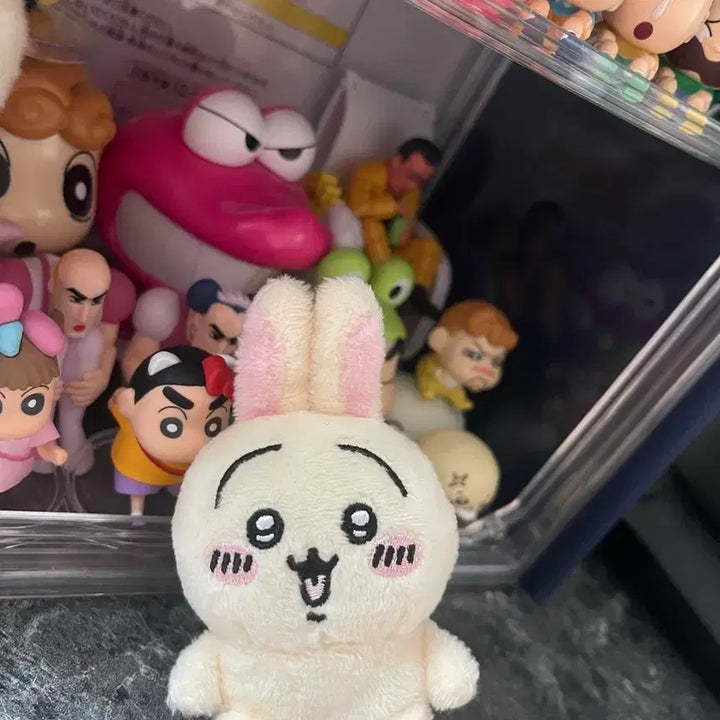 [BUNJANG] Chiikawa Racco Usagi Plush Bundle Set / 치이카와 랏코 우사기 누이 인형 일괄