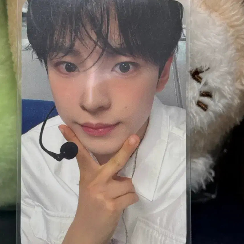 [BUNJANG] Wichu Photocard / 위츄 포카