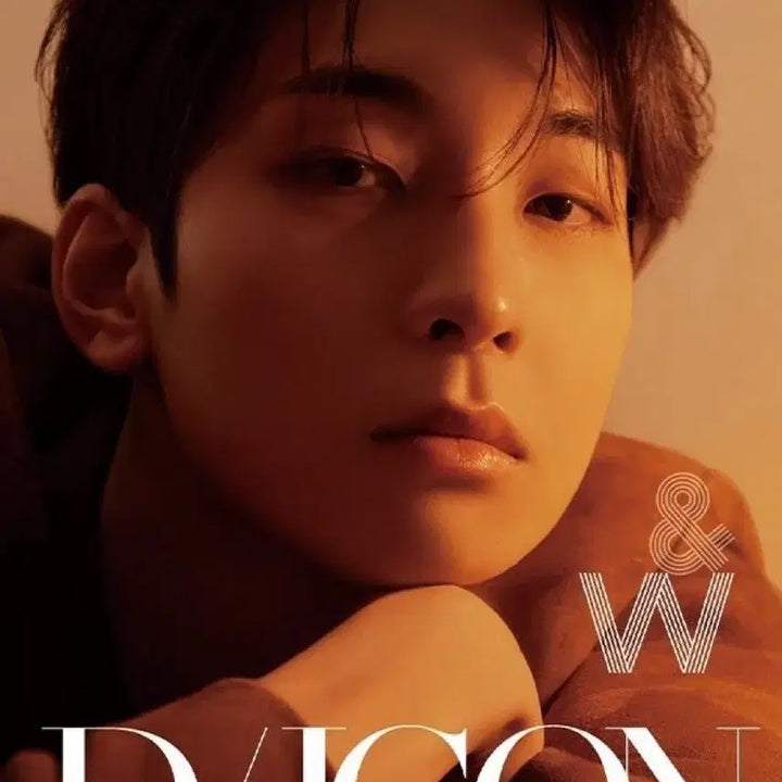 [BUNJANG] Seventeen Wonwoo DICON Magazine Type A/B Full Set / [미개봉] 원우 디아이콘 잡지A/B타입 풀세트