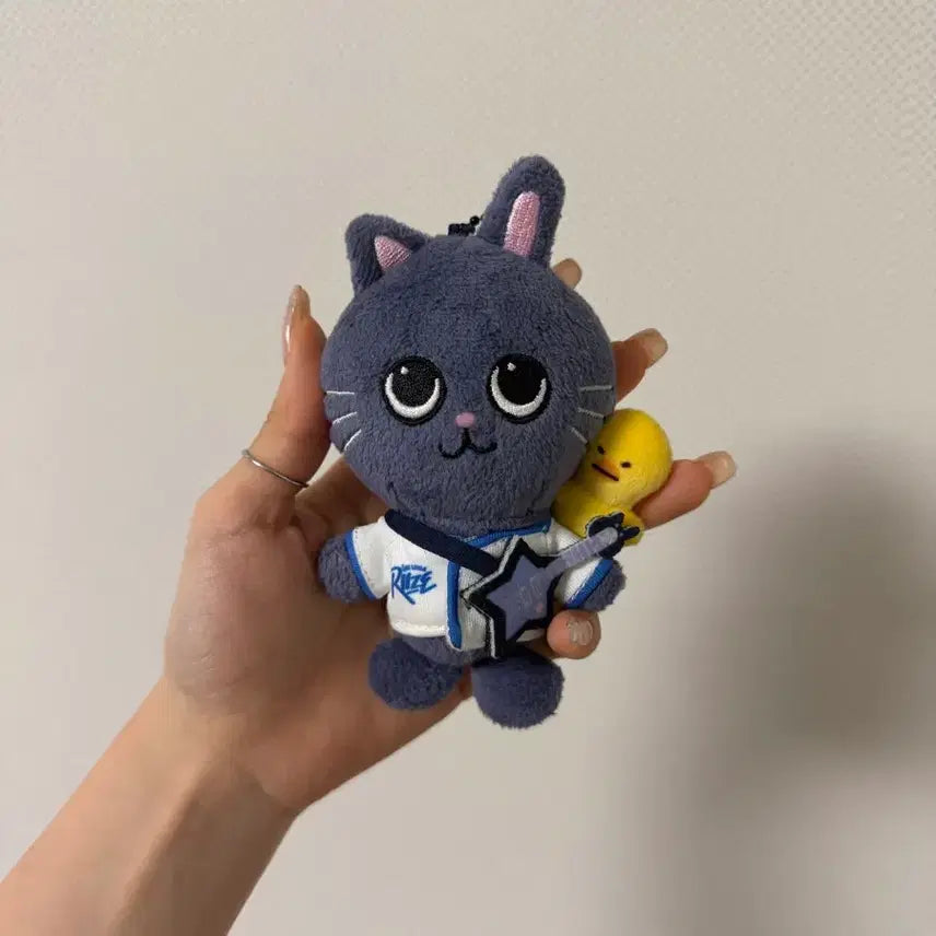 [BUNJANG] RIIZE LyRiz Wonbin 10cm Doll Keychain / 라이즈 리라즈 원빈 토냥덕 10cm 인형 키링
