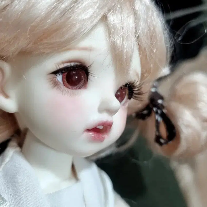 [BUNJANG] NapiDoll Carol Head / 나피돌 캐롤 헤드, 리나슈슈, 플러피치, 수이돌, 치카비,루츠