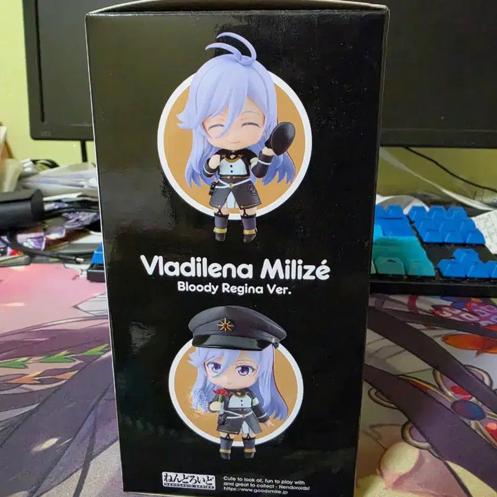 [BUNJANG] 86 Volume 12 Special Edition Figure / 에이티식스 12권 특장판 피규어