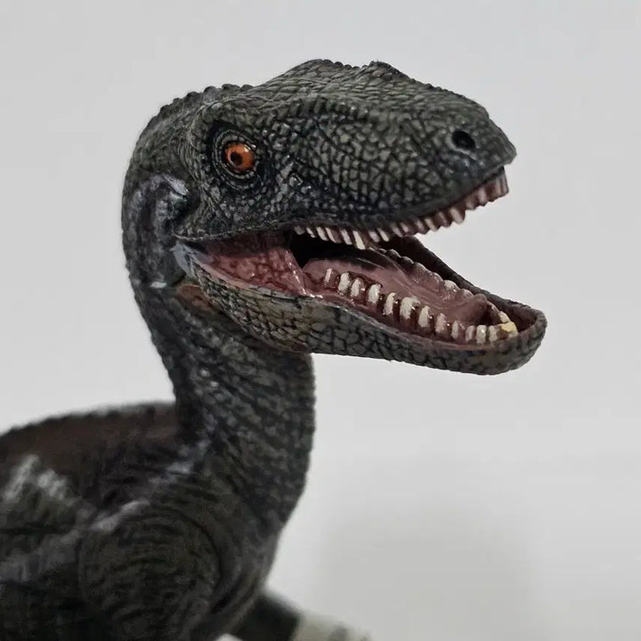 [BUNJANG] Papo 2005 Velociraptor Repaint Model Tagged Unused / 파포 2005 빈티지 (55018) 벨로키립토르 리페인드모델 택달린미사용