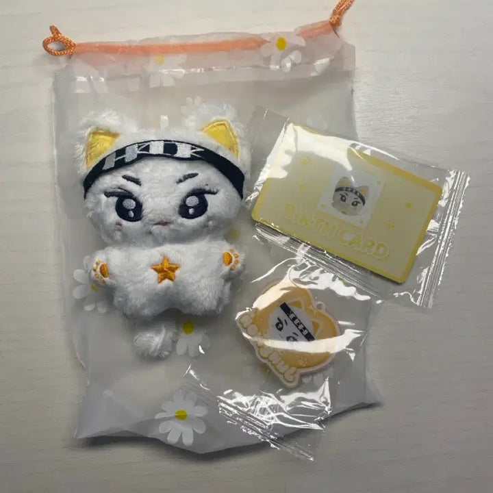 [BUNJANG] Enhypen Jungwon "Jungwon" Doll / 엔하이픈 양정원 정원 인형 양도 성훈 제이크 니키 선우 제이