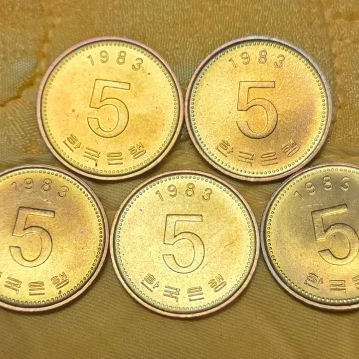 [BUNJANG] 1983 5 Won Coin Bundle (5 pcs) - Unused Condition / <특년><완전미사용> 아주 귀한  1983년 5원 동전 5개