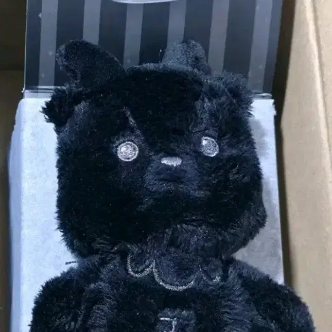 [BUNJANG] RIIZE Sungchan Doll Bundle Set / 원가이하양도 라이즈 성찬 인형 일괄
