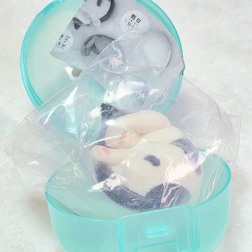 [BUNJANG] Sleepy Cat Gacha / 졸린 고양이 가챠