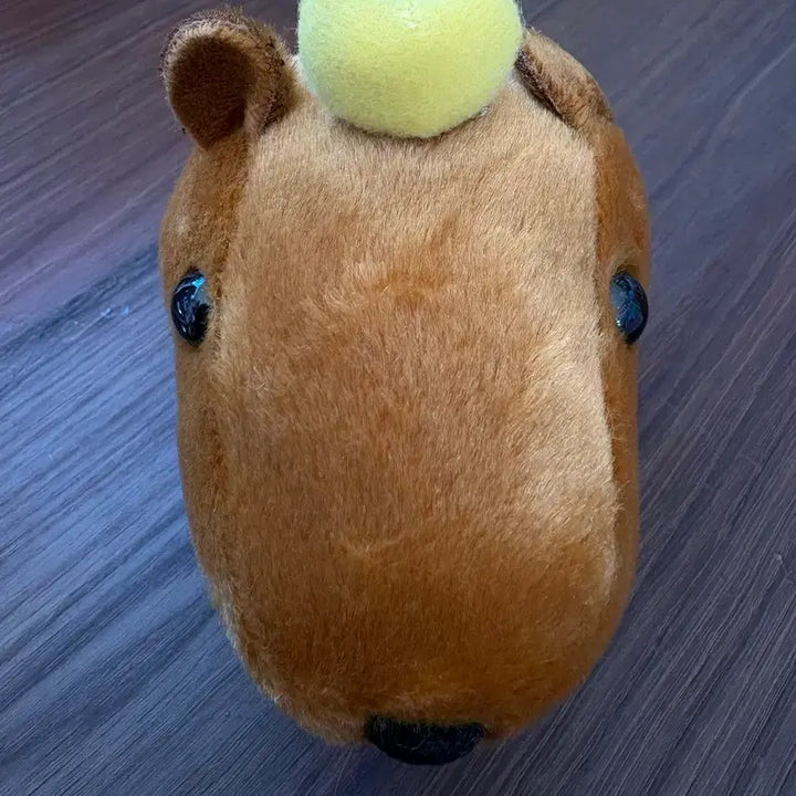 [BUNJANG] Capybara Plush Toy with Orange Accessory / 귤 카피바라 인형