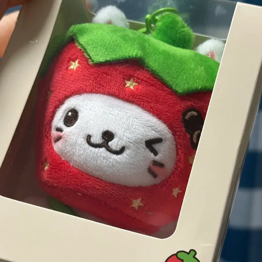 [BUNJANG] NCT WISH Yushi Strawberry Bubble Nyan Badge Bundle Set / 엔시티 위시 유우시 딸기 버블냥, 뱃지 현물