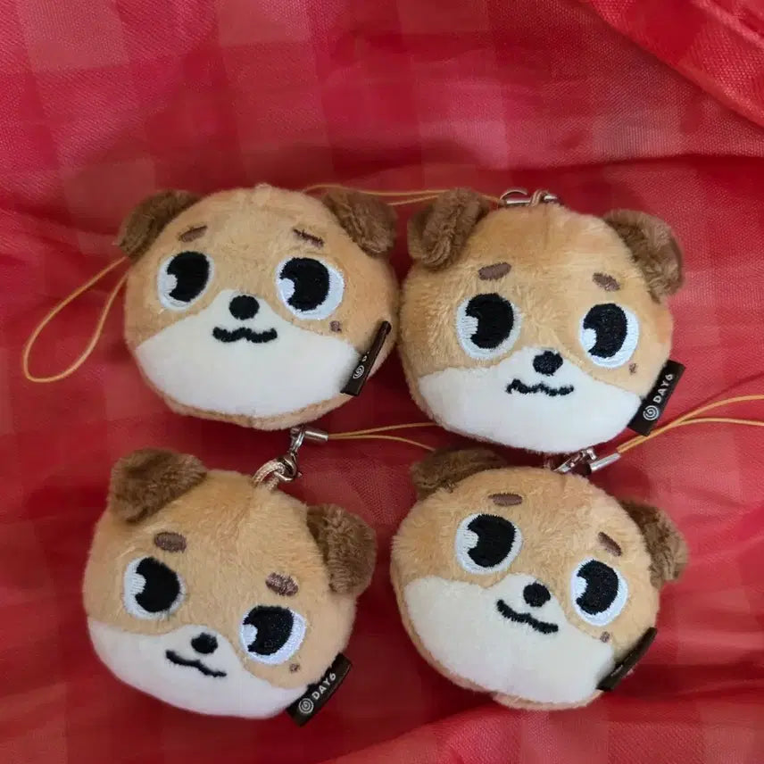 [BUNJANG] DAY6 Denimals DONY Face Keyring / 데이식스 페이스 키링 데니멀즈 돈