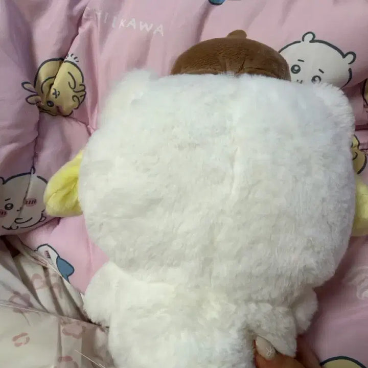 [BUNJANG] Pompompurin Fuwa Fuwa Polar Bear Plush / 폼폼푸린 후와후와 북극곰 인형