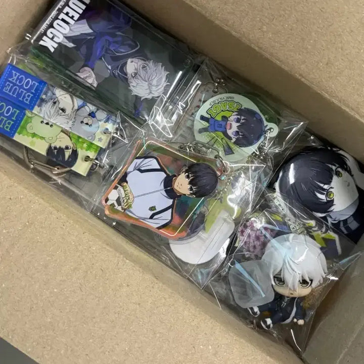 [BUNJANG] Blue Lock Merchandise Bundle Set / 블루록 굿즈 일괄 네고가능