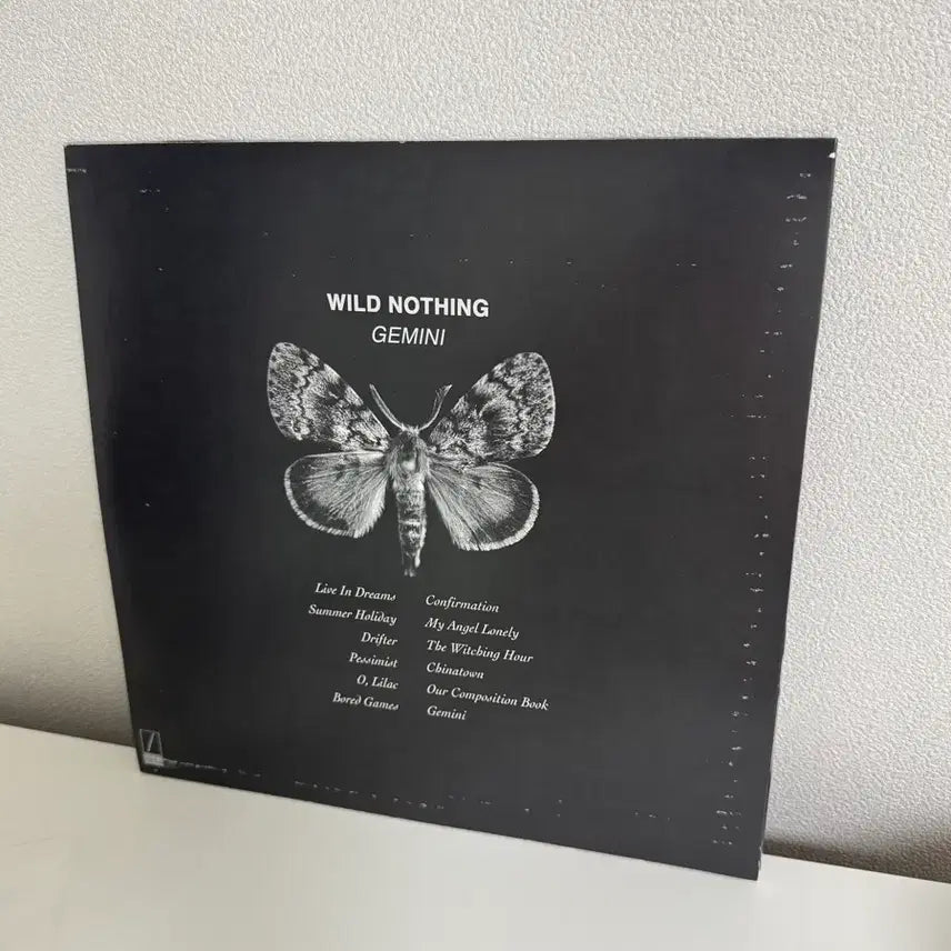[BUNJANG] Wild Nothing Gemini LP Purple Limited Edition / Wild Nothing - Gemini LP
