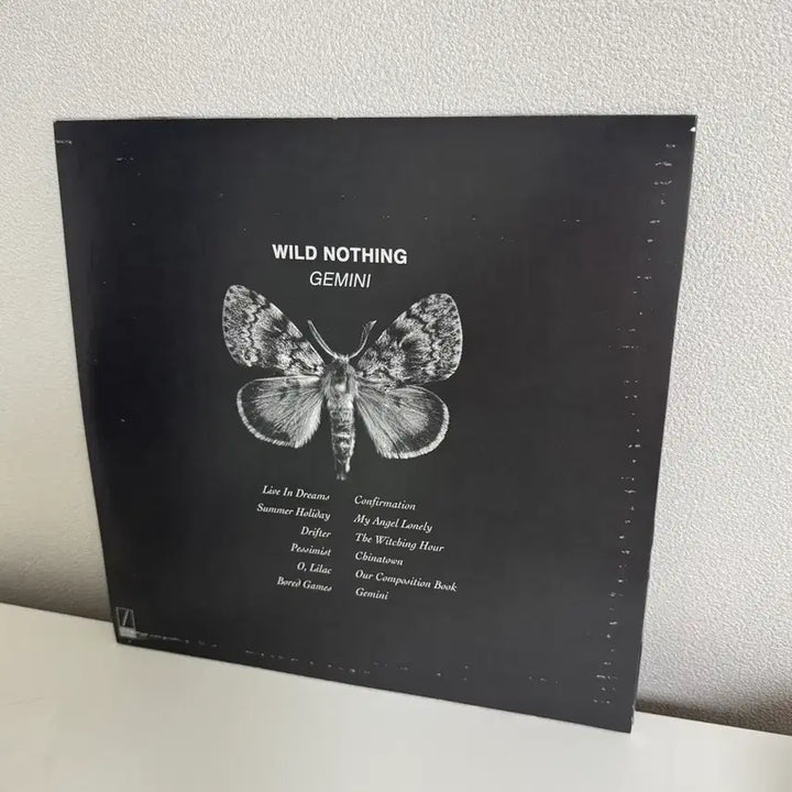 [BUNJANG] Wild Nothing Gemini LP Purple Limited Edition / Wild Nothing - Gemini LP