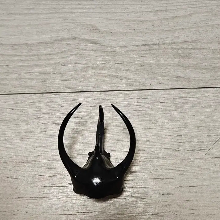[BUNJANG] Atlas Beetle Thorax / 아틀라스 장수풍뎅이 흉각