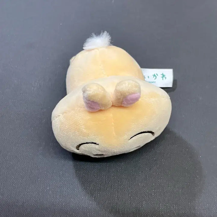 [BUNJANG] Monsieur Dodo Usagi Laying Down Plush / 누워있는 먼작귀 인형 우사기 새상품