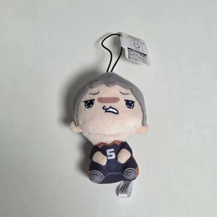 [BUNJANG] Haikyuu!! Tanaka Ryunosuke MochiPico Plush / 하이큐 타나카 류노스케 모찌피코 누이
