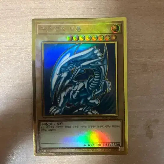 [BUNJANG] Blue-Eyes White Dragon Bundle Set / 푸른눈의 백룡 일괄