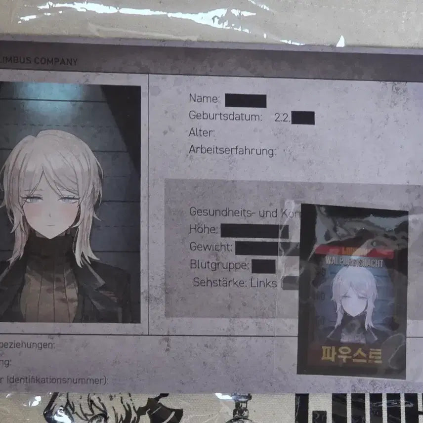[BUNJANG] Limbus Company Faust Profile Sticker / 림컴 림버스컴퍼니 림버스 파우스트 프로파일 햄햄팡팡