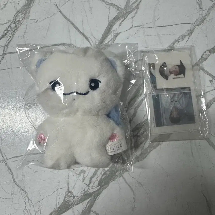 [BUNJANG] TWS Shinyu "Shinyu" Plush / 투어스 신유 인형 시뉴삐