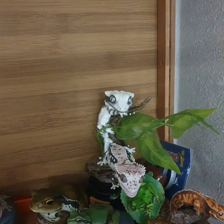[BUNJANG] Vaccum Room Crested Gecko Figure / 진공방 동물행성 크래스티드 게코 피규어