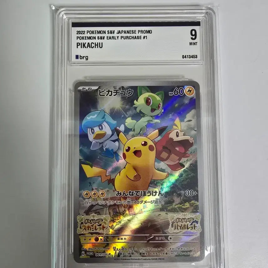[BUNJANG] Scarlet &amp; Violet Promo Pikachu BRG 9 / 스칼렛 바이올렛 프로모 피카츄 brg 9 팝니다