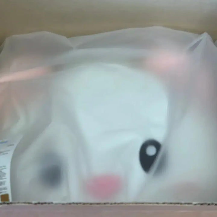 [SOLD OUT] 투어스 투위미 쪽 신유 쿠션