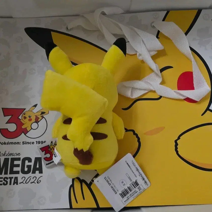 [BUNJANG] Pokemon 30th Anniversary Pikachu Plush (Angry) / 포켓몬스터 30주년  봉제인형 피카츄(화남)