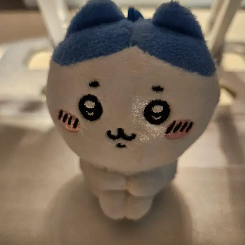[BUNJANG] Hachiwale Sitting Plush / 먼작귀 하치와레 앉아 인형