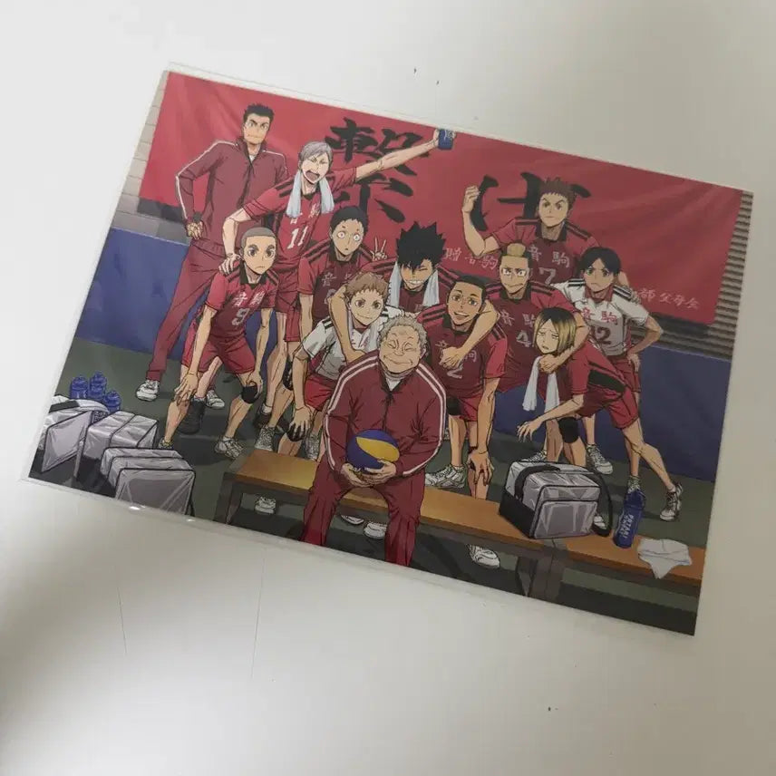 [BUNJANG] Haikyuu!! Nekoma High School Illustration Postcard / 하이큐 네코마 고교 일러스트 엽서