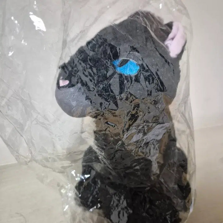 [BUNJANG] Coraline Cat Plush / 코렐라인 고양이 인형