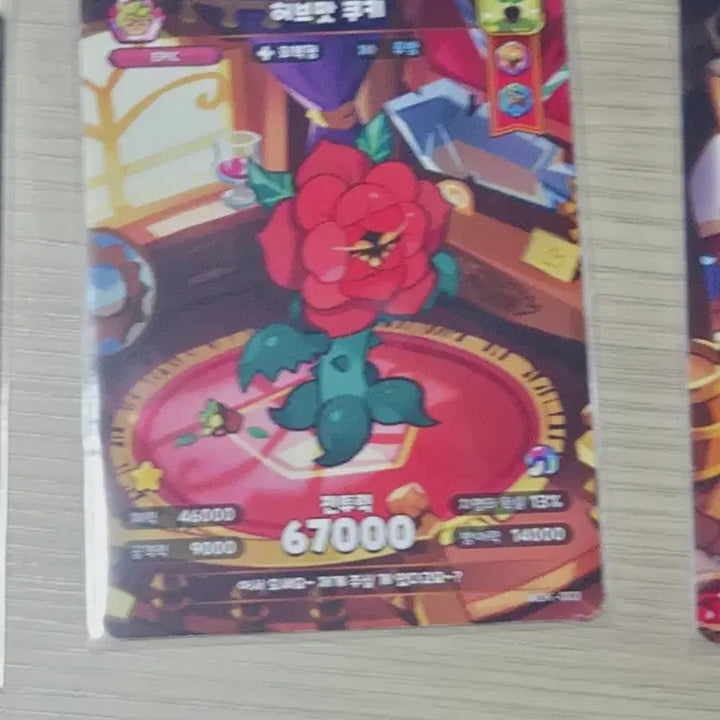 [BUNJANG] Cookie Run Kingdom Collectible Card / 쿠키런킹덤 콜렉터블 카드 개별