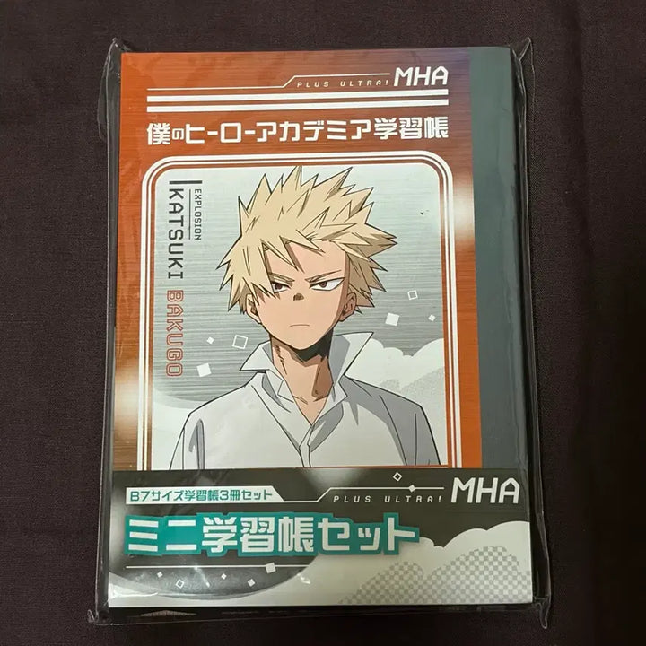 [BUNJANG] My Hero Academia Mini Notebook Set / 히로아카 나히아 바쿠고 미도리야 토도로키 미니 수첩 세트 양도합니다