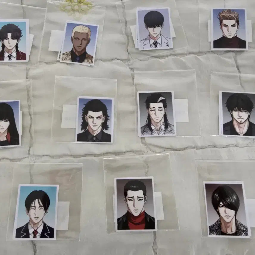 [BUNJANG] Lookism 12 Types Proof Photos Bundle Set / 외모지상주의 증명사진 12종 일괄판매