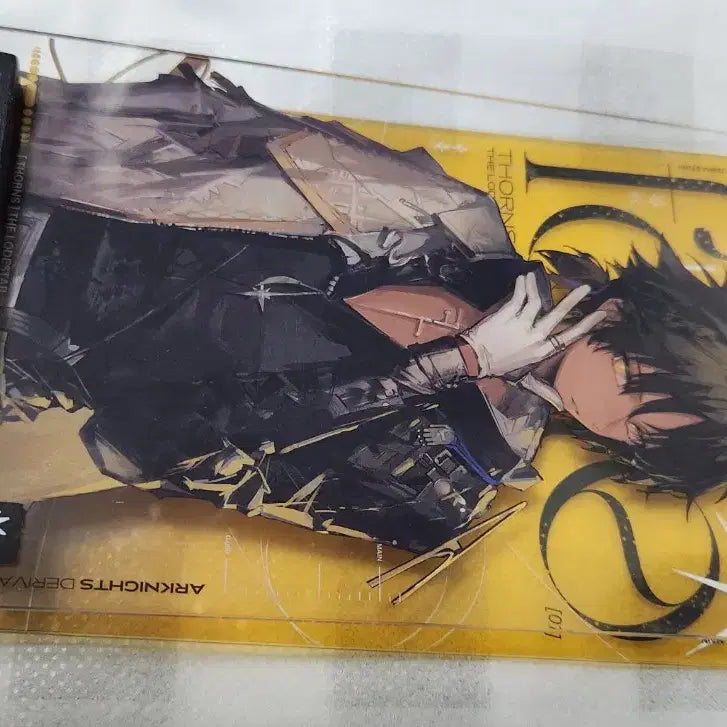 [BUNJANG] Arknights Thorns Acrylic Set / 명일방주 쏜즈 아크릴 일괄