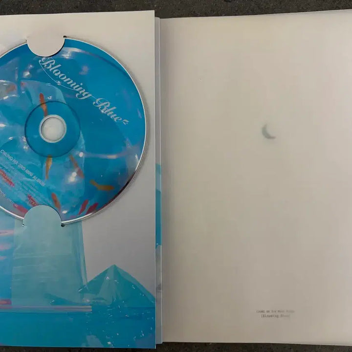 [BUNJANG] Chung Ha Signed Blooming Blue 3rd Mini Album / 청하 친필싸인 싸게 판매해요!!