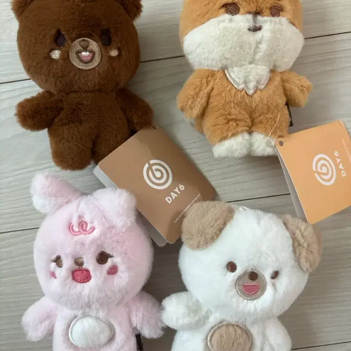[BUNJANG] Day6 Denimals Petitimals Bundle Set / 데이식스 데니멀즈 쁘띠멀즈 일괄 원가이하 양도