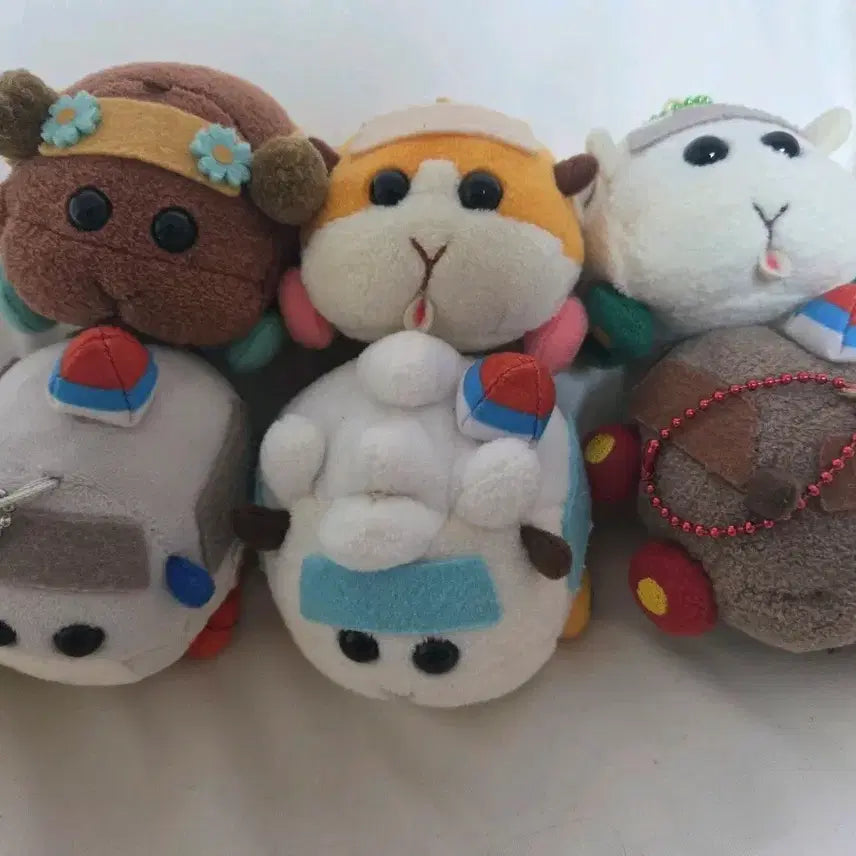 [BUNJANG] Moruka Mochi Kororing Bundle Set / 모루카 모찌코로링 일괄
