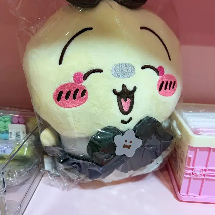 [BUNJANG] Usagi Plush Doll / 우사기 누이구루미 인형