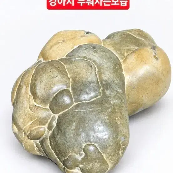 [BUNJANG] Natural Stone Dog Figurine / 자연석 강아지 누워있는 모습